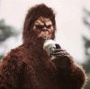 Bigfoot at Starbucks.jpg Bigfoot at Starbucks.jpg
