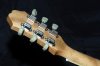 Headstock back@100.jpg